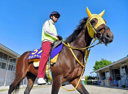 　快晴の下、運動するキョウヘイ