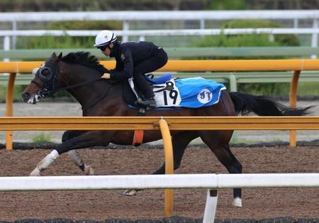 　栗東ＣＷで併せ馬をするサトノアラジン