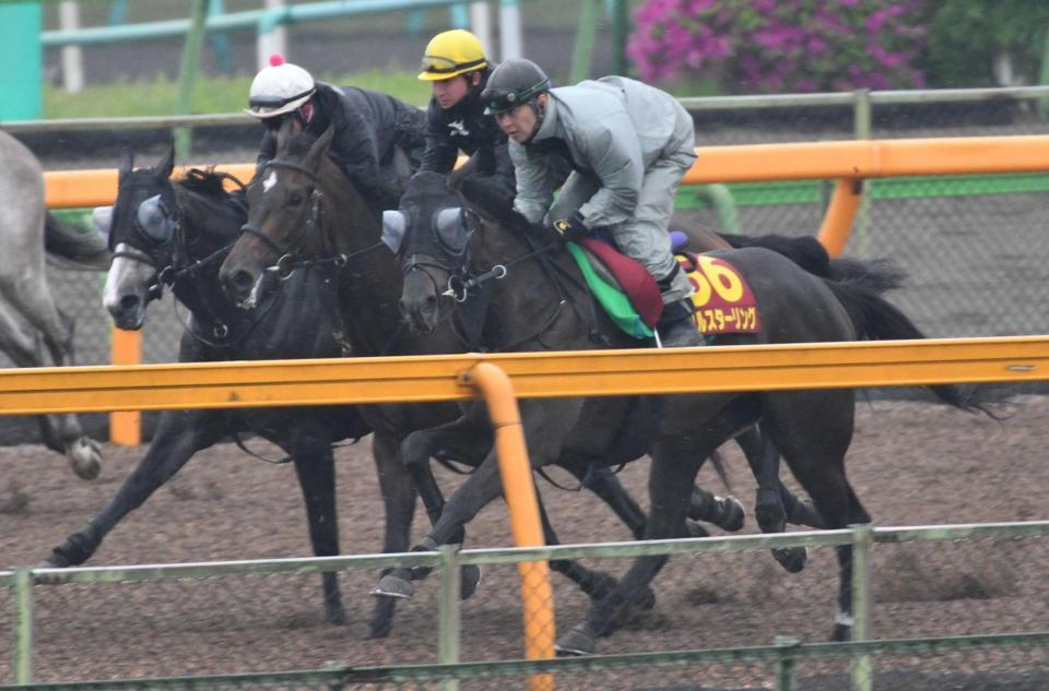 　３頭併せで追い切るソウルスターリング（手前）