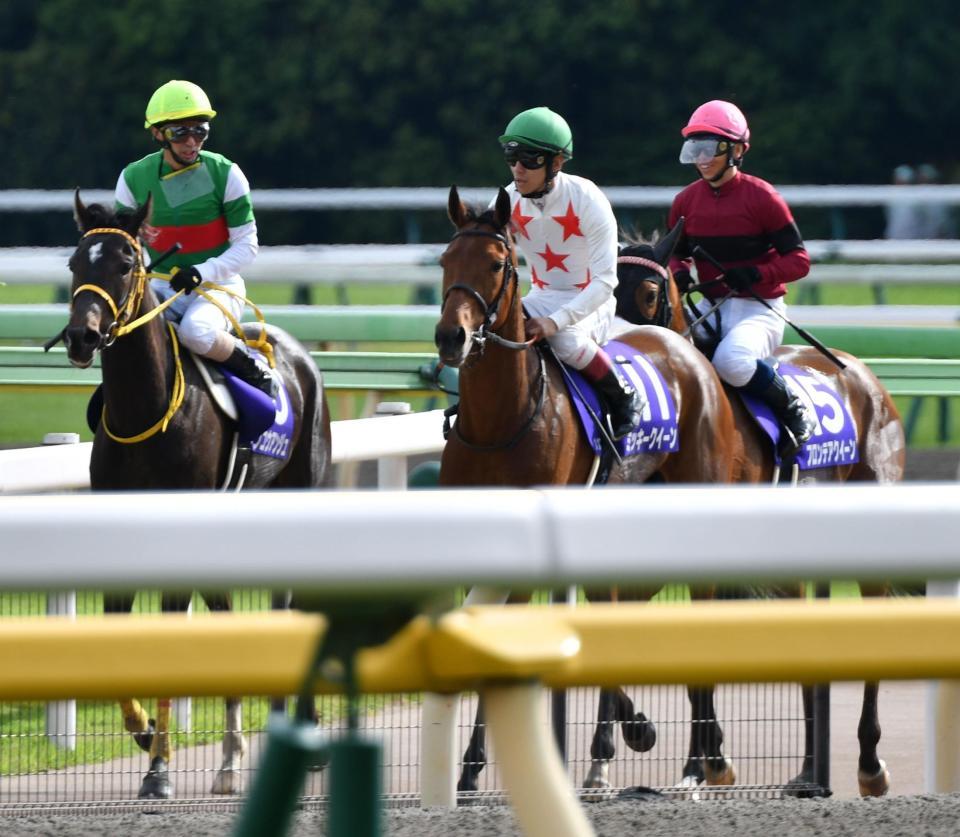 ２着のデンコウアンジュ（左）と７着に敗れたミッキークイーン（手前）