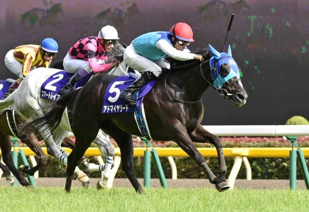 【ヴィクトリアＭ】小さな新女王アドマイヤリード　最軽量馬にでっかい勲章