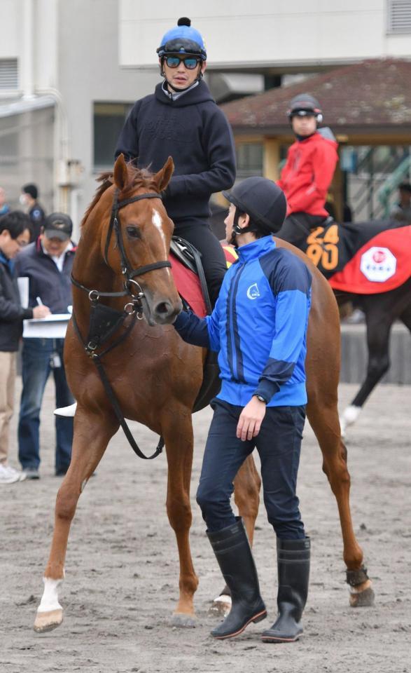 松岡を背に一発を狙うホウオウパフューム