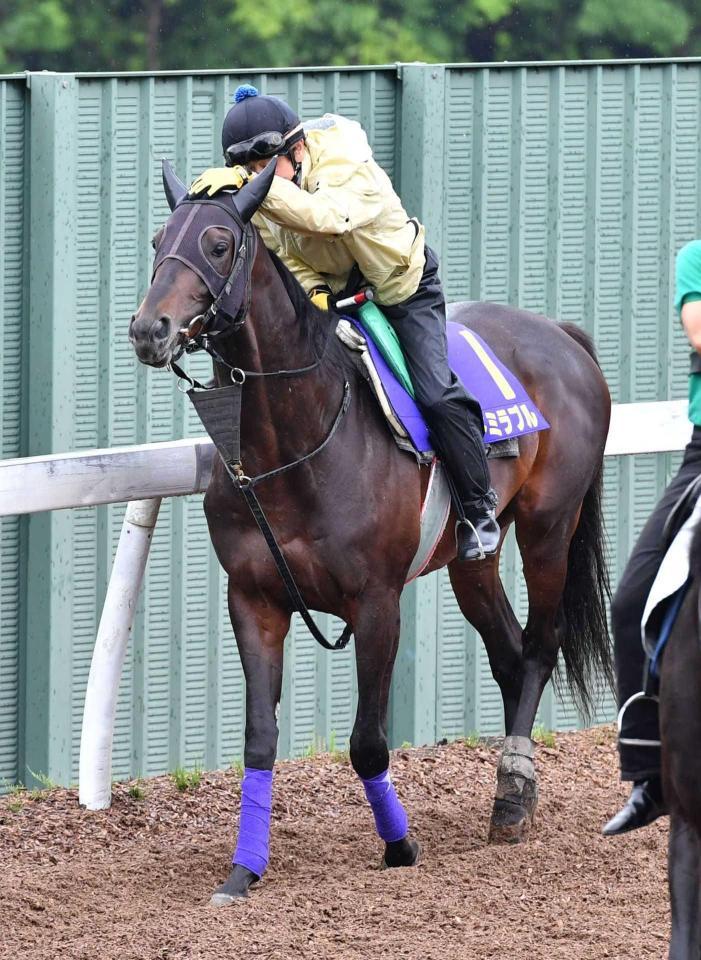 　青葉賞馬初の戴冠を狙うアドミラブル