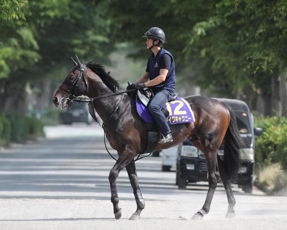 　運動するダイワキャグニー