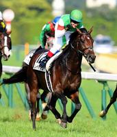 レイデオロで日本ダービー初制覇しガッツポーズをみせるＣ・ルメール騎手＝東京競馬場（撮影・三好信也）