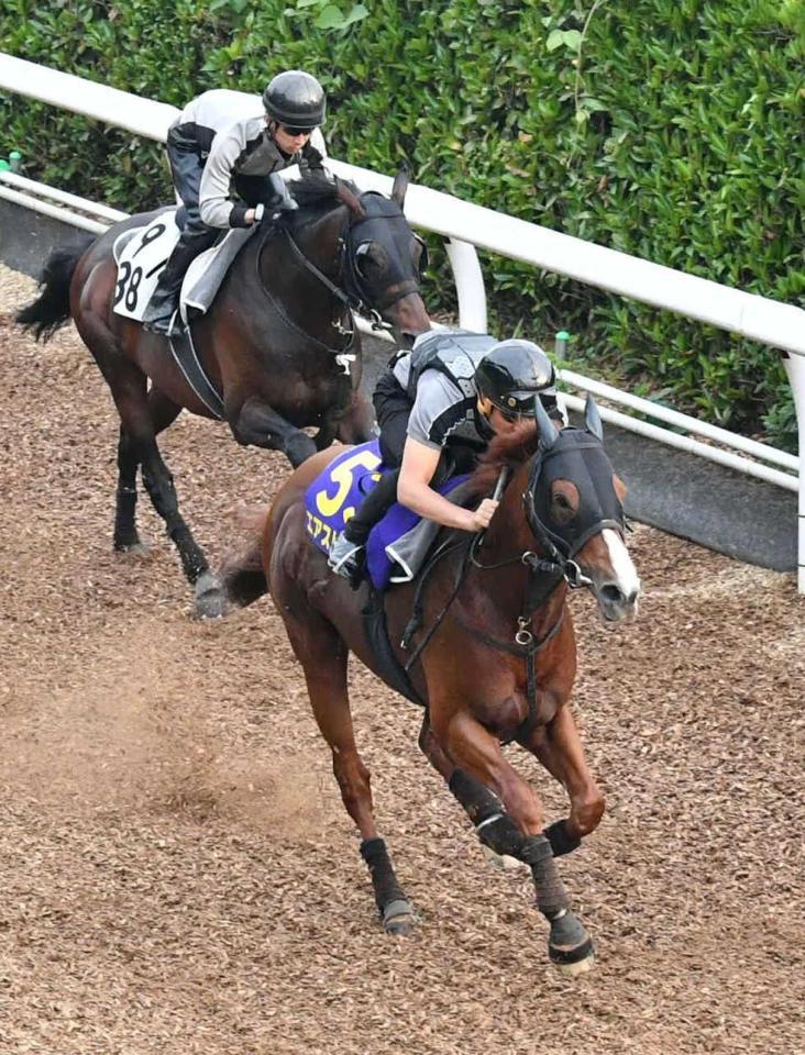 　２週連続の猛調教で仕上げたエアスピネル