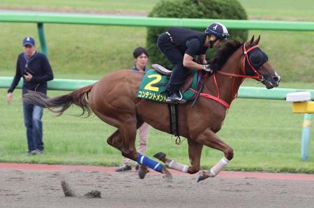 　サイズ師（左奥）が見つめる中、ダートコースで追われるコンテントメント