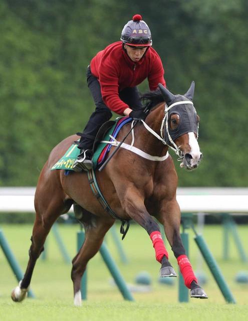 安田記念 ビューティーオンリー１１年ぶり外国馬ｖへ タフなマイル戦大丈夫 競馬 レース デイリースポーツ Online