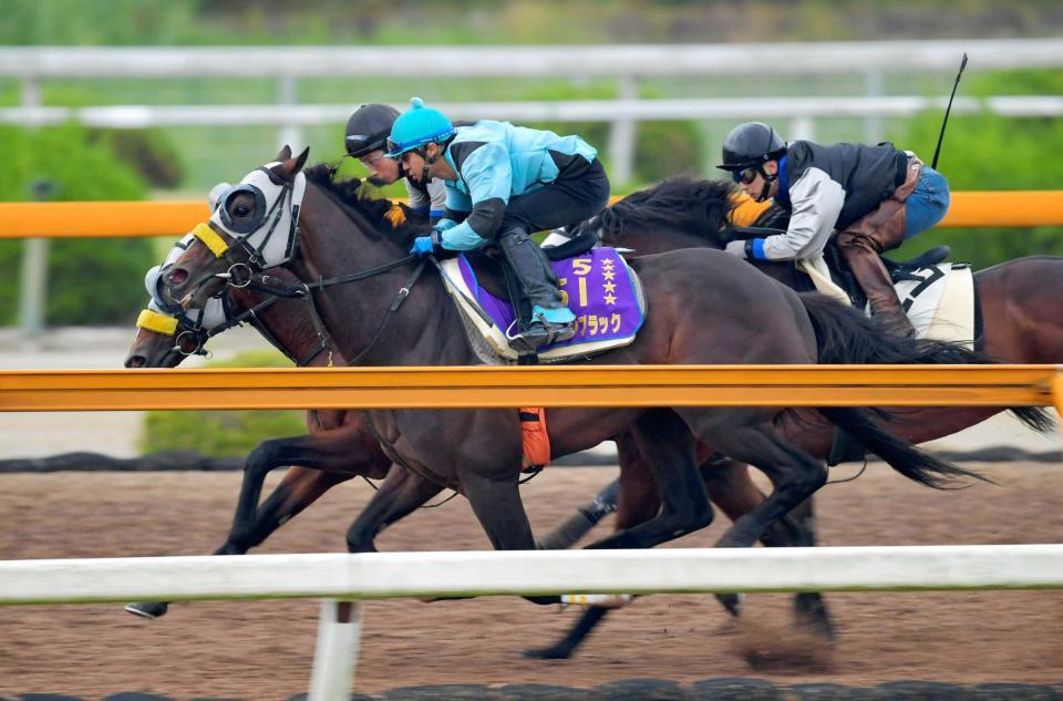 　馬なりながら軽快な動きを見せたキタサンブラック（手前）