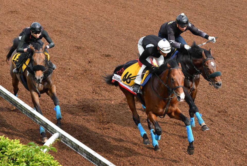 　小島茂師を背に美浦坂路を３頭併せで駆け上がるアストラエンブレム（中央）