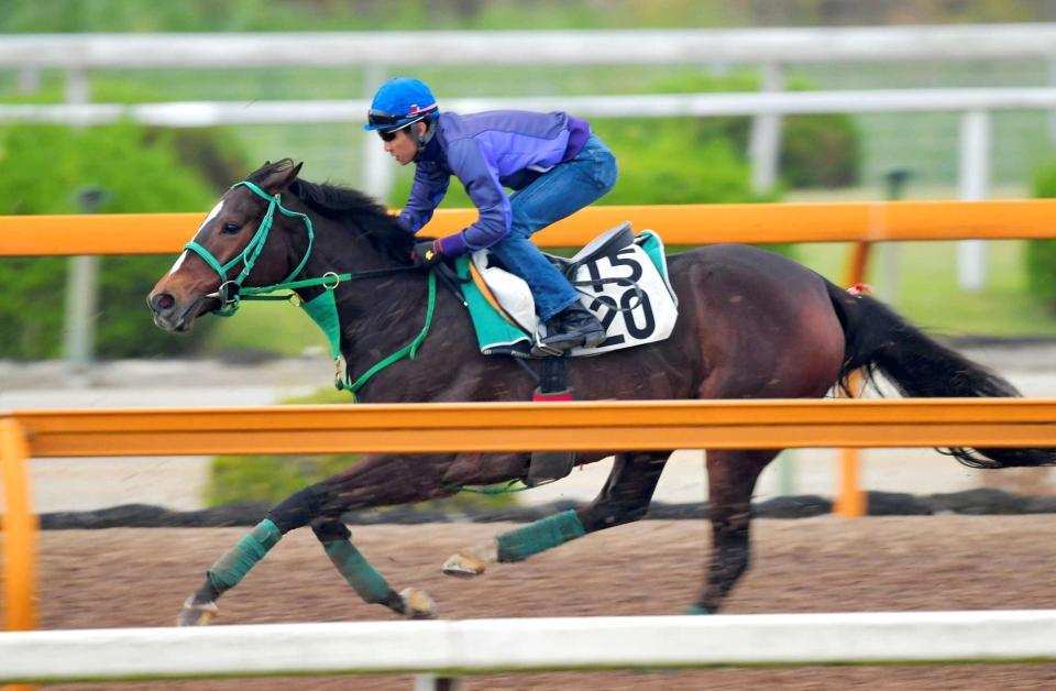 　武豊を背に栗東ＣＷを快走するトーセンビクトリー