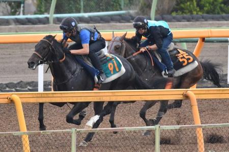 　併せ馬できっちり先着したジナンボー