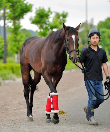 　３期連続でファン投票１位に選出されたキタサンブラック