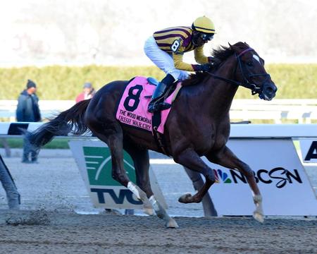 　主催者の予想オッズで１番人気に推されるアイリッシュウォークライ