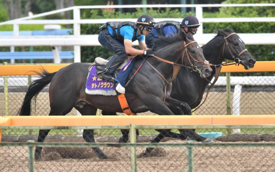 　順調に宝塚記念２週前追い切りを消化したサトノクラウン