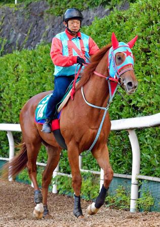　調教でパワフルな動きを見せたエイシンデジタル