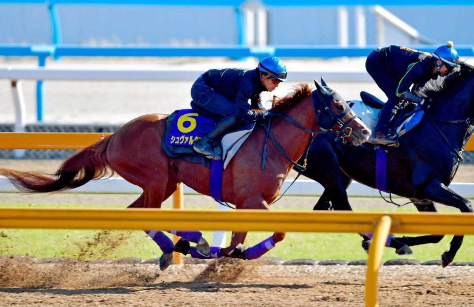 　福永を背にまずまずの動きだったシュヴァルグラン