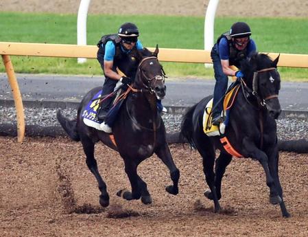 　美浦Ｗで併せ馬を行ったサトノクラウン（左）