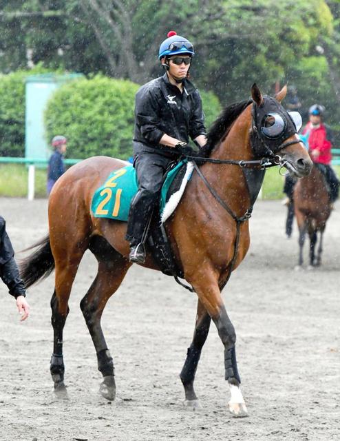 【ＰＯＧ】レッドガーランド心身充実　名門藤沢和厩舎の期待馬