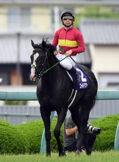 完璧わいふによる 金色ジョッキー日の丸アディダス競馬イエロー乗馬 馬94日本代表 乗馬、馬術