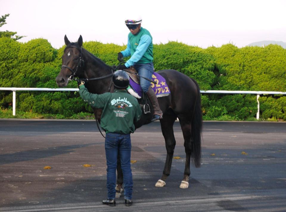 　柴山騎手が騎乗して追い切られたサトノアレス