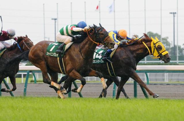 ｃｂｃ賞 シャイニングレイ 衝撃の末脚 北村友はサマースプリントシリーズ連勝 競馬 レース デイリースポーツ Online