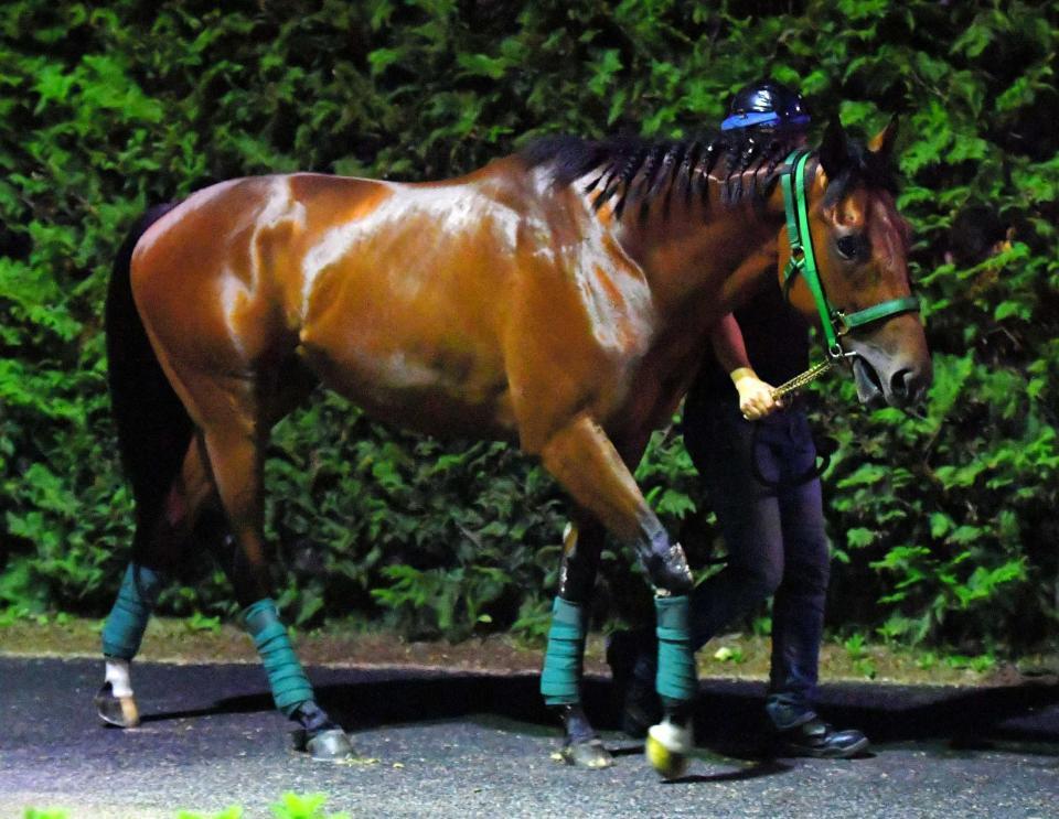 　良血馬ヘンリーバローズが素質の高さをアピールするか