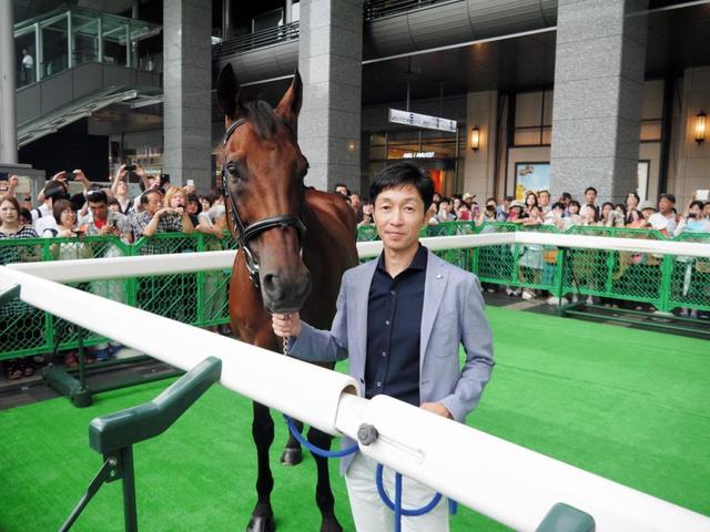 武豊とメイショウカイドウが再会 今夏で誘導馬引退/競馬・レース/デイリースポーツ online