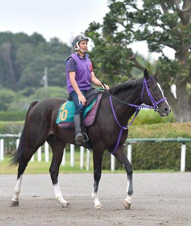 　運動するルッジェーロ