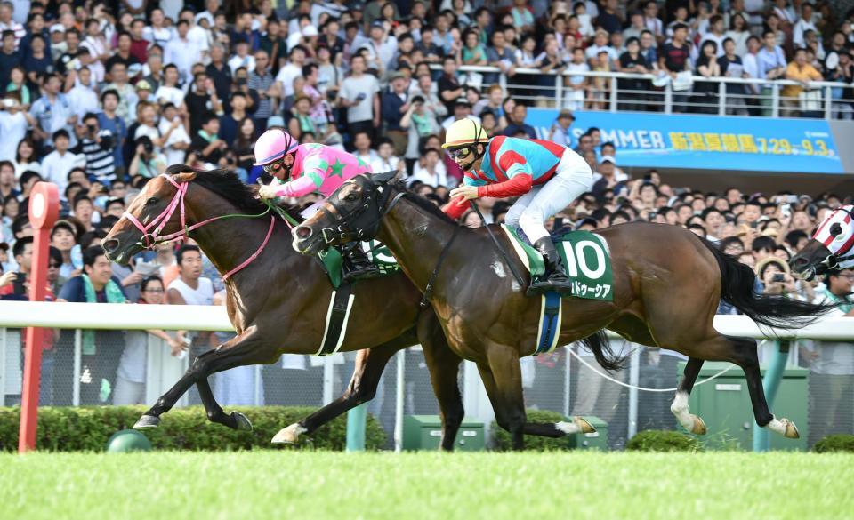 ゴール前差し切ってアイビスＳＤを制したラインミーティア（左）＝新潟競馬場