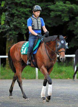 　日曜の小倉でデビューするロングランメーカー