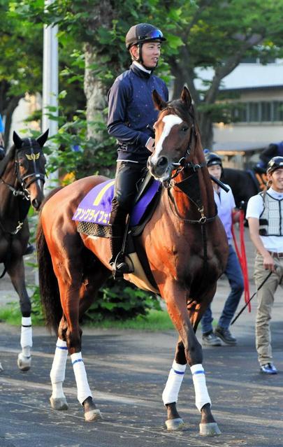 【札幌記念】アングライフェン滞在で一発あるぞ！馬体減りなし、初タイトルへ好機