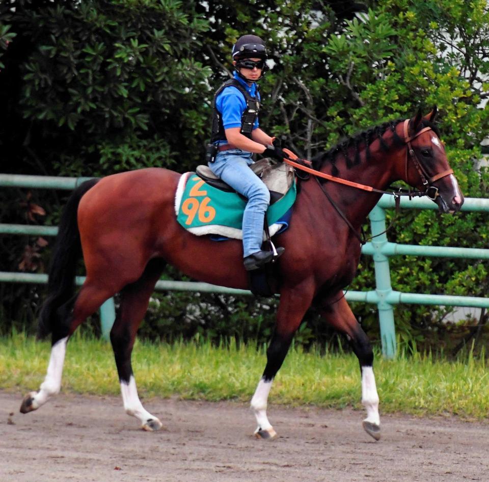 　モーリス全弟のルーカス　