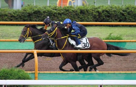 　柔らかみのある走りで函館Ｗを駆けるサウンズオブアース（内）