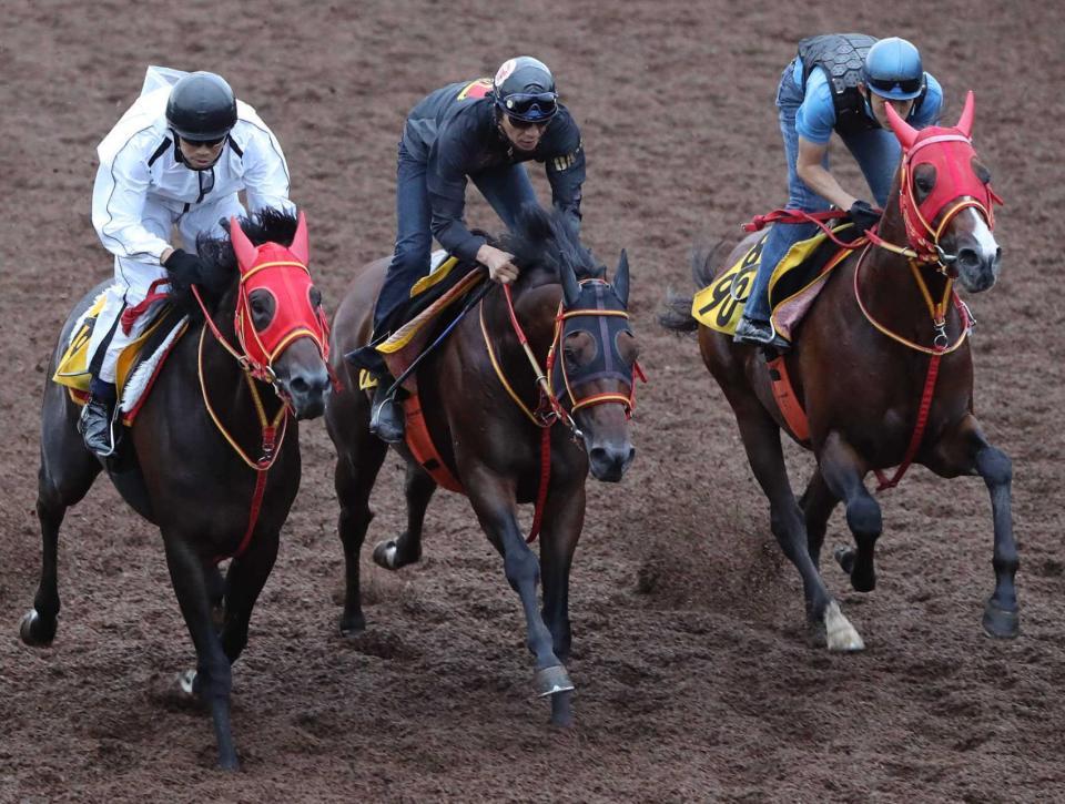 　美浦坂路を駆けていくニットウスバル