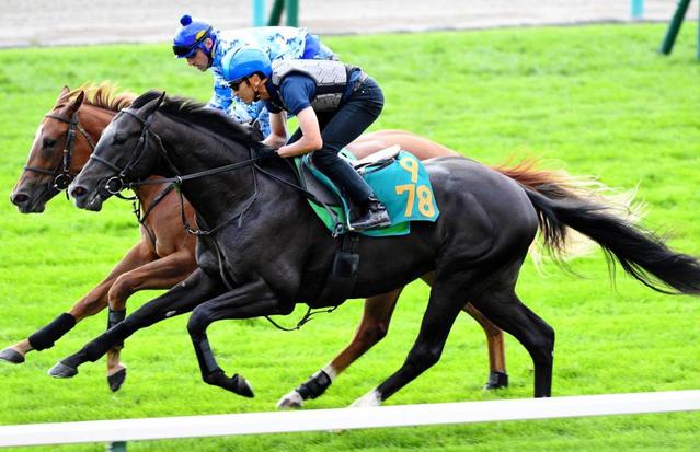 【ＰＯＧ】ゴーフォザサミット「見たときから“いい馬”」　藤沢和師がほれた良血馬