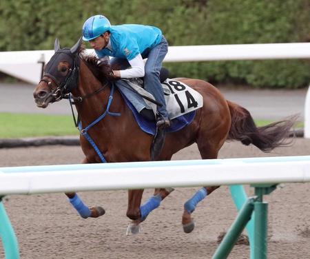 　予定を変更し２４日の朝、勝浦を背に札幌ダートで追い切ったフミノムーン