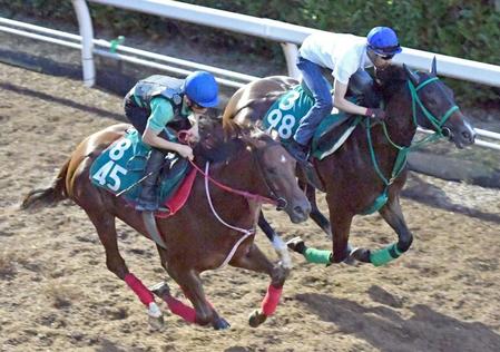 　互いに力強い動きで併入したモズスーパーフレア（手前）とアサクサゲンキ