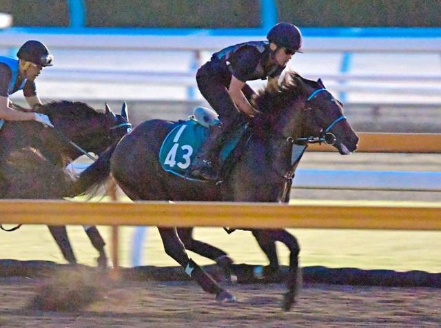 【小倉２歳Ｓ】ヴァイザー 鋭い動きに合格点　高橋亮師、小倉攻略に自信あり！