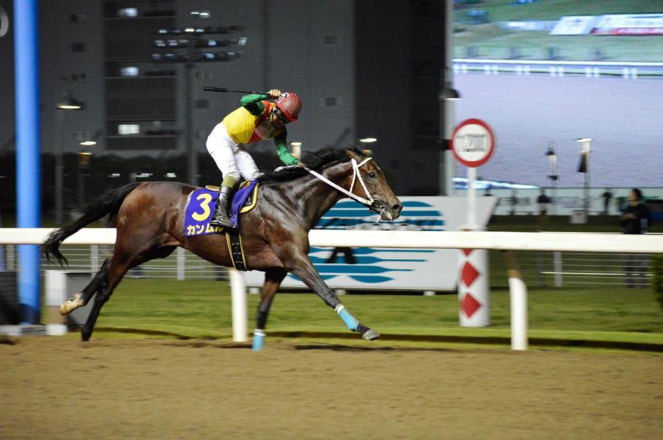 　積極的な競馬で重賞初制覇を決めたカンムル