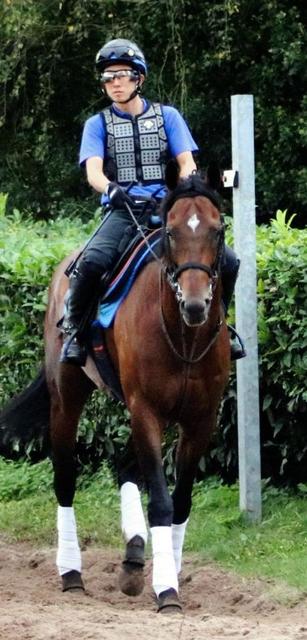 【フォワ賞】サトノダイヤモンドは最内枠　池江師「追い切り後も順調」