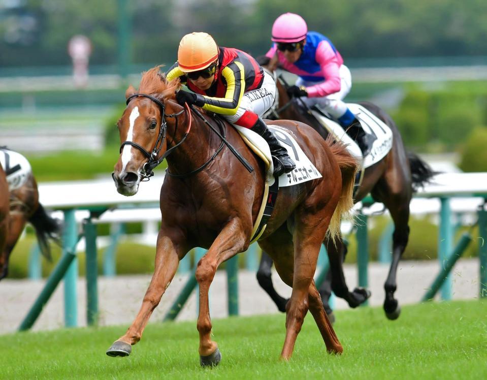 新馬戦を快勝したデルニエオール＝阪神競馬場（撮影・石湯恒介）