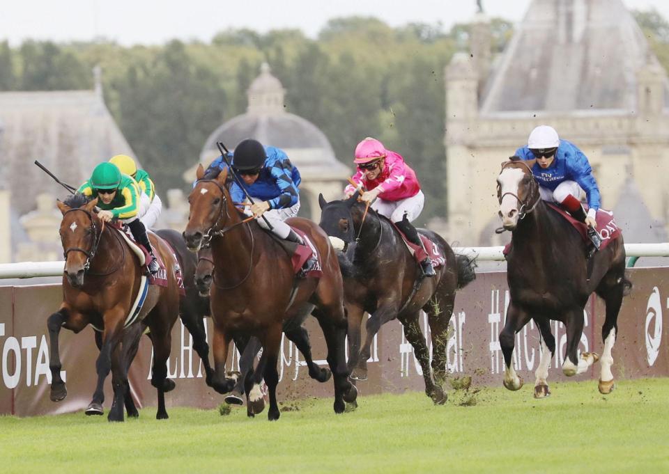 　フランス競馬のフォワ賞で４着のサトノダイヤモンド（左端）＝シャンティイ競馬場（共同）