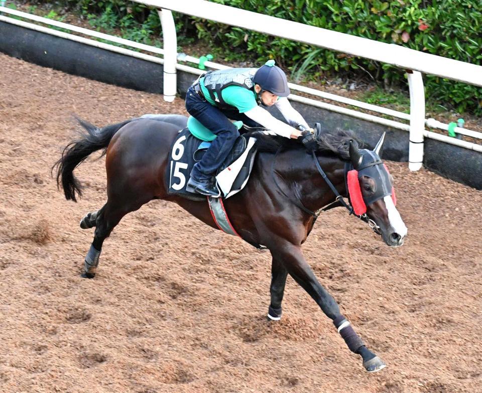 　栗東坂路で軽快な動きを見せたダンビュライト