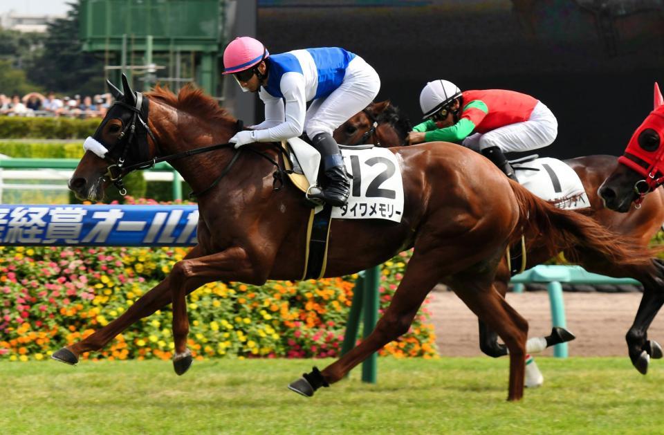 ５Ｒ、メイクデビュー中山を制したダイワメモリー＝中山競馬場（撮影・三好信也）