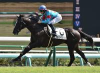 ５Ｒ、人気に応えメイクデビューを制したグローリーヴェイズ＝中山競馬場