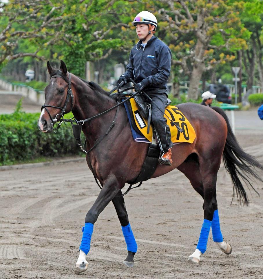 　５月目黒記念Ｖ以来の出走となるフェイムゲーム