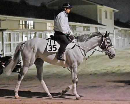 　牡馬相手に好発進を狙うスマートレイアー