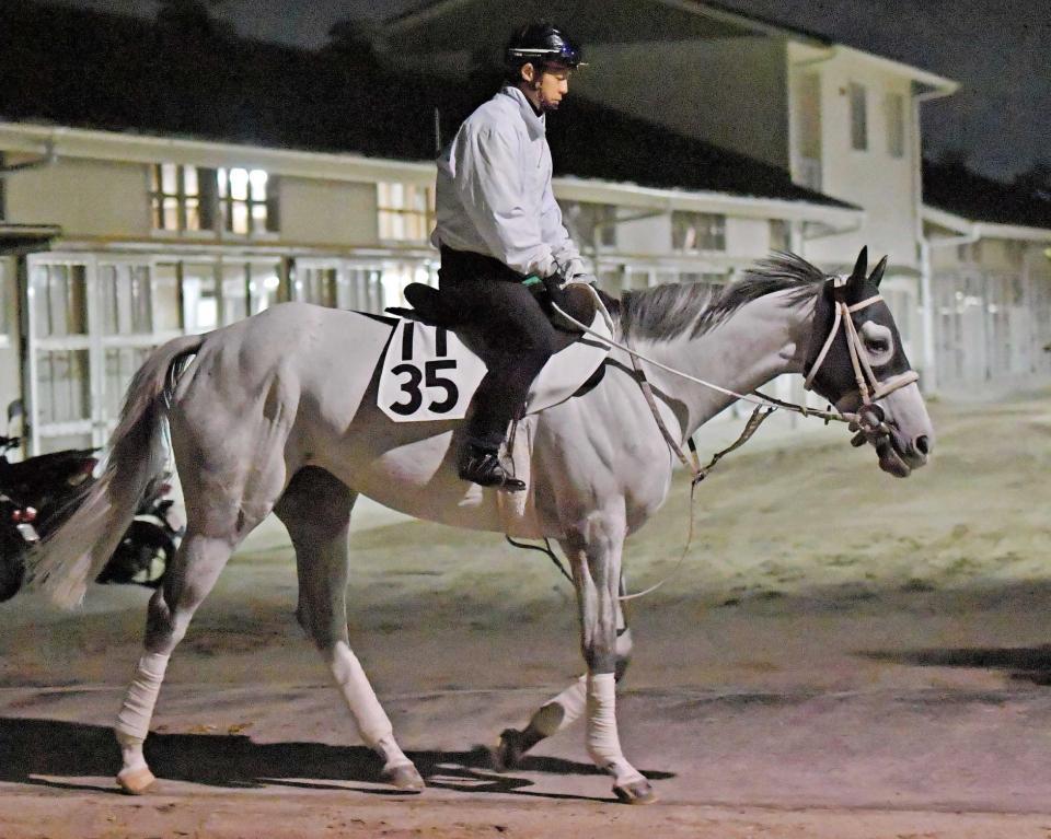 　牡馬相手に好発進を狙うスマートレイアー