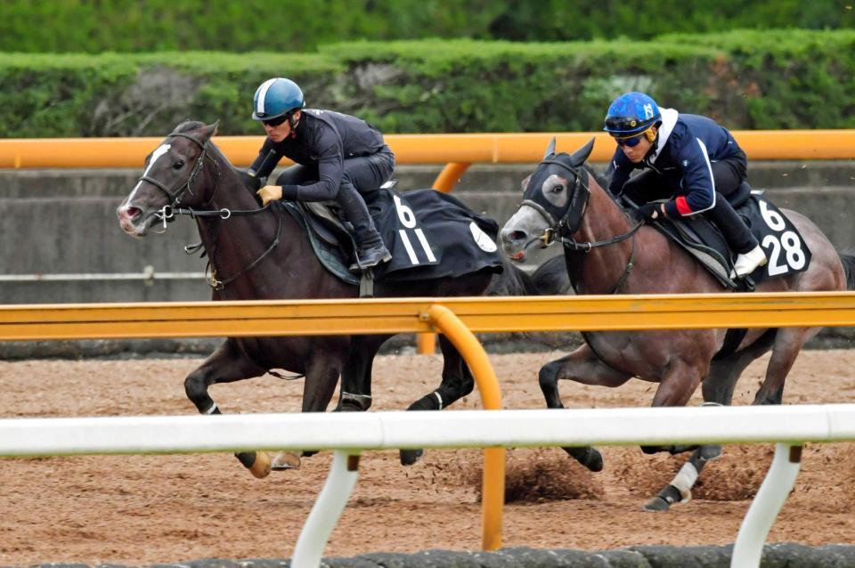 　川田を背に栗東ＣＷで併せ馬を行ったダノンプレミアム（左）